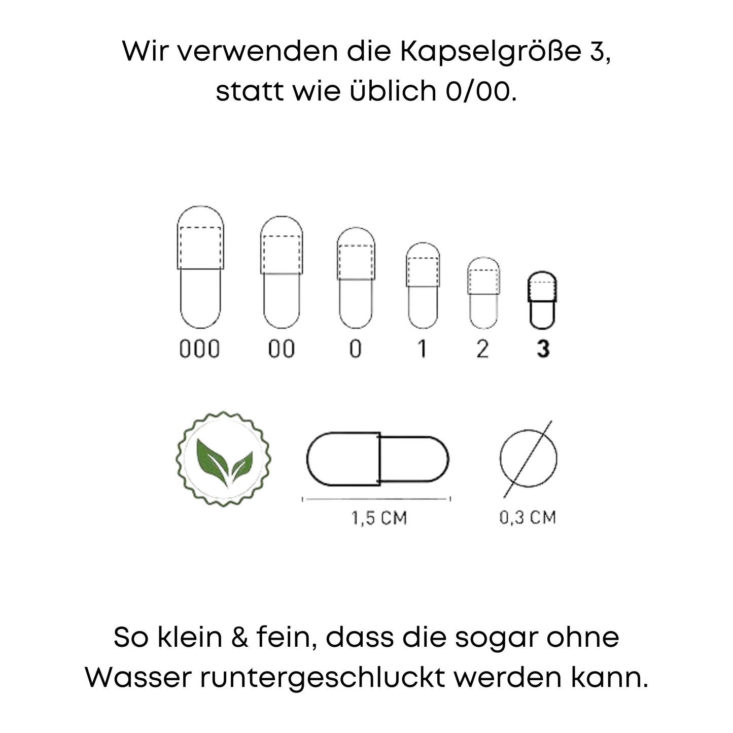 Eisen Plus (90 Kapseln)