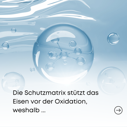 Eisen Plus (90 Kapseln)