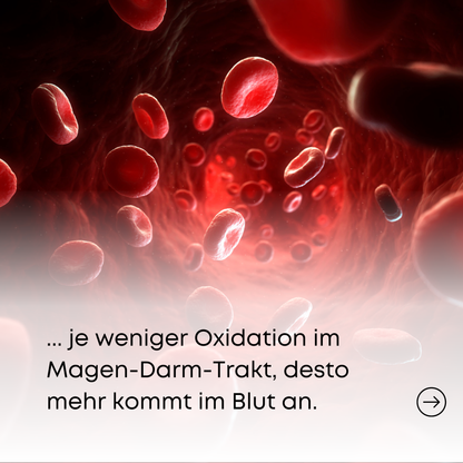 Eisen Plus (90 Kapseln)