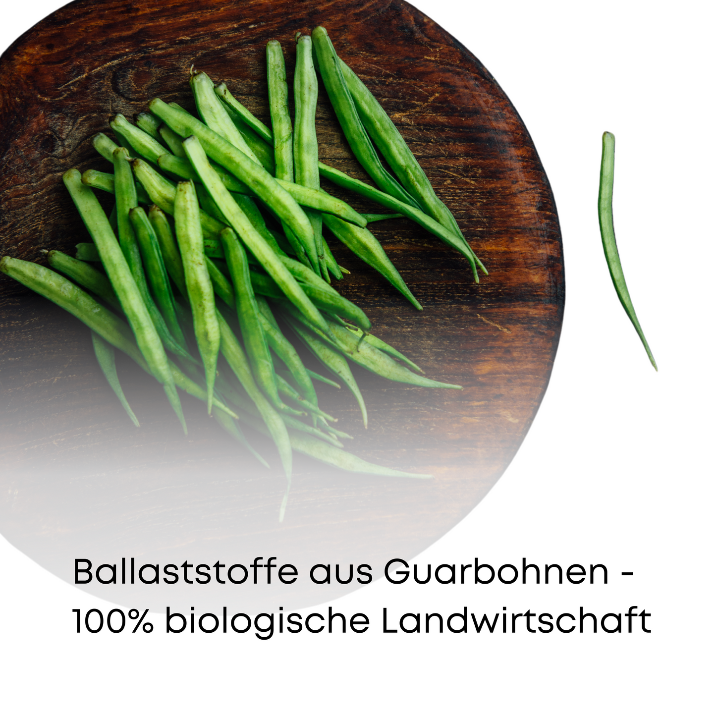 Bio Ballaststoffe (450 g Pulver)