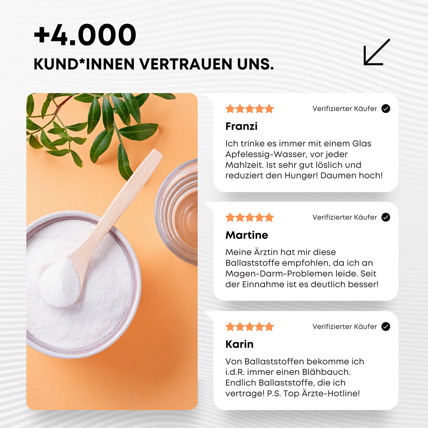 Bio Ballaststoffe (450 g Pulver)